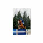 MAHOOT Equestrianism Cover Sticker for Apple iPad mini GEN 5 2019 A2133