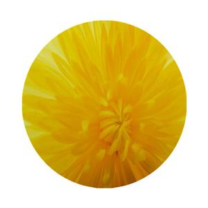 زیرقابلمه ای طرح گل کد 8327