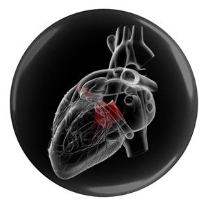 پیکسل طرح پزشکی قلب مدل S9541