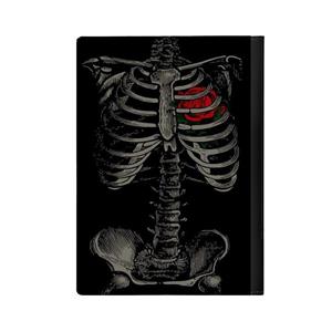 کلاسور مدل اسکلت کد 1667 -