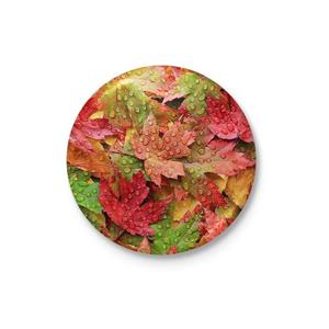 پیکسل مدل برگ های پاییزی کد DDP567