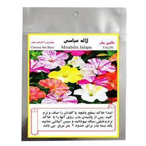 بذر گل لاله عباسی تالین بذر مدل BZT-1023