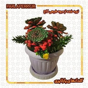 میوه تزیینی مدل کاج بسته 36 عددی