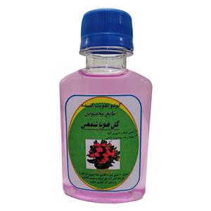 کود مایع مرکب مخصوص هویا شمعی مدل Z14 حجم 120 میلی لیتر