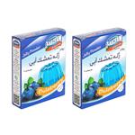 Sabzfam blueberry jelly powder - 100 g Pack of 2