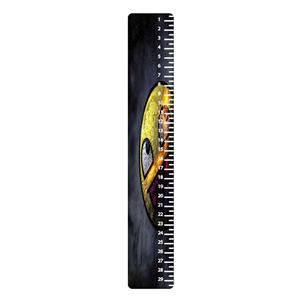 خط کش 30 سانتی متر طرح استیکر کد 611