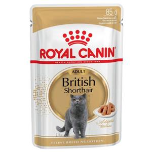 غذای پوچ گربه بریتیش ادالت رویال کنین (Royal Canin British Shorthair Adult) وزن 85 گرم