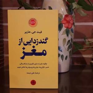 کتاب گند زدایی از مغز اثر فیث جی هارپر انتشارات کتاب پارسه