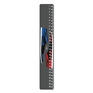 خط کش 30 سانتی متر طرح کفش کد 749