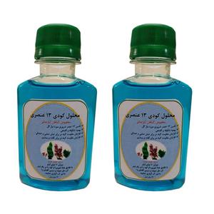 کود مایع 13 عنصری مخصوص گل و گیاه مدل GL2 حجم 240 بسته دو عددی