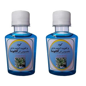 کود کامل مایع مخصوص انواع آگلونما مدل GL2 حجم کل 240 میلی لیتر بسته دو عددی