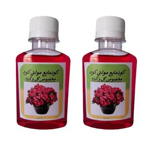 کود مایع مولتی کود مخصوص گل و گیاه خانگی مدل GL2 حجم کل 240 میلی لیتر بسته دو عددی