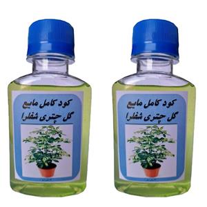 کود کامل مایع مخصوص گیاه چتری شفلرا مدل GL2 حجم 240 میلی لیتر بسته دو عددی