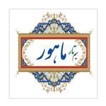 سیم تار ماهور مدل Set