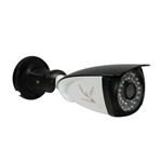 دوربین مداربسته تحت شبکه رایمون مدل RB100 IP GC 5MP