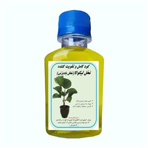 کود نخل لیکوالا مدل A63 حجم 120 میلی لیتر