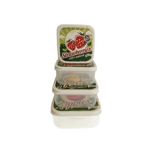 ظرف نگهدارنده هوبی لایف مدل Strawberries مجموعه 4 عددی