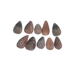 میوه تزیینی مدل کاج 002