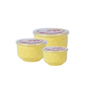 ظرف نگهدارنده ام جی اس مدل CF1011 بسته 3 عددی