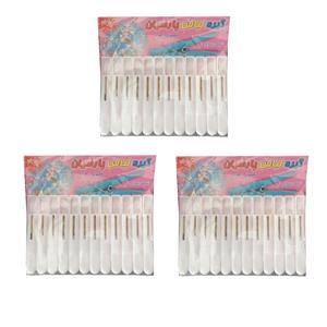 گیره لباس پارسیان مدل PVC سه بسته 12عددی