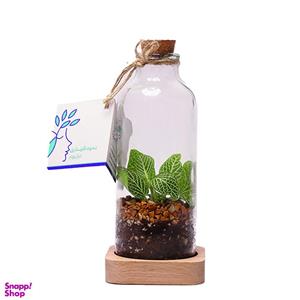 تراریوم طبیعی گلوریا سیسترز مدل دریا کد 011