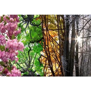 تابلو شاسی مدل چهار فصل و بهار و تابستان و پاییز و زمستان  T6939