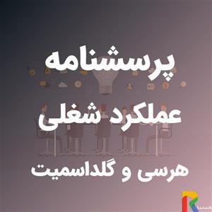 پرسشنامه عملکرد شغلی هرسی و گلداسمیت