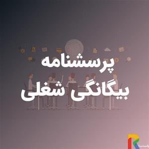 پرسشنامه بیگانگی شغلی