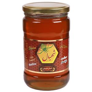 عسل طبیعی چهل گیاه شهبال - 850 گرم