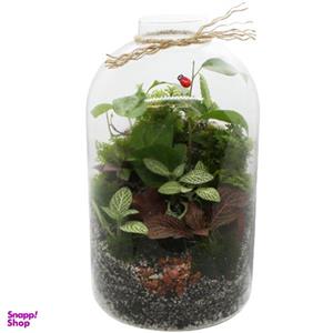 تراریوم لیلیوم مدل ایستاده