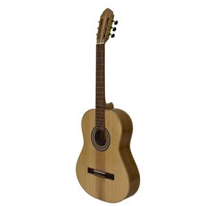 گیتار مدل S1sy-FL