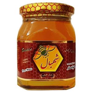 عسل طبیعی چهل گیاه شهبال - 380 گرم Natural honey of Shahbal Polyfloral - 380gr