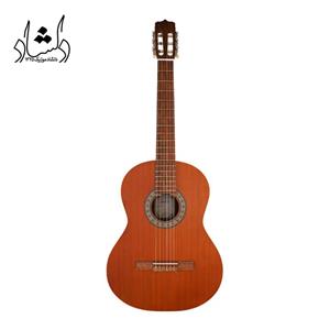 گیتار پارسی مدل P40