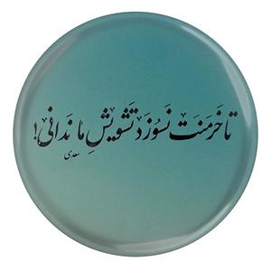 پیکسل مدل شعر سعدی و تا خرمنت نسوزد تشویش ما ندانی   S12194