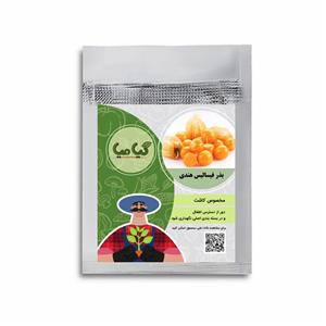 بذر فیسالیس سبز غول پیکر گیامیا مدل PH803