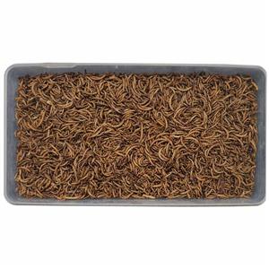 غذای خشک پرندگان و آبزیان مدل میلورم کد2 وزن 1000 گرم