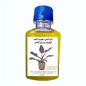 کود مایع کامل فیلودِندرون بورگاندی مدل Filn حجم 120 میلی لیتر