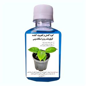 کود مایع کامل فیلودندرون اسکاندیس مدل Filn حجم 120 میلی لیتر