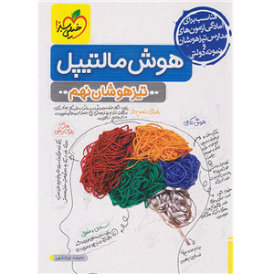 کتاب هوش مالتیپل تیزهوشان نهم اثر اباصلت نورالهی و بهزاد اسدالله انتشارات خیلی سبز