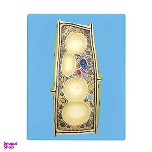 کیت آموزشی مولاژ مدل سلول گیاهی کد 01
