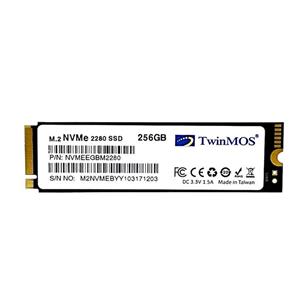 اس اس دی اینترنال تویین موس مدل NVMe M.2 2280 PCIE ظرفیت 256 گیگابایت