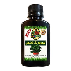 کود تقویتی مخصوص برگ قاشقی هپی پلنت مدل HP72 حجم 120 میلی لیتر