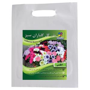 بذر گل اطلسی گلباران سبز Golbaranesabz Petunia Flower Seeds