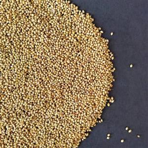 غذای پرندگان مدل ارزن وزن 500 گرم