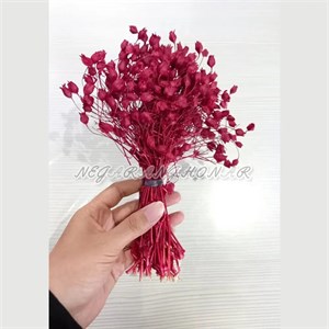 جغجغه مدل گل کد 65