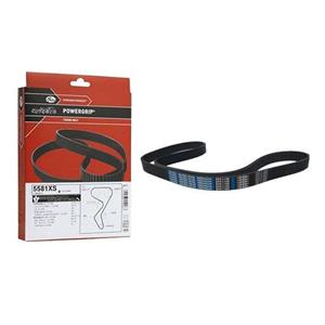 تسمه دینام دانگیل مدل 6PK1100 مناسب برای ماکسیما