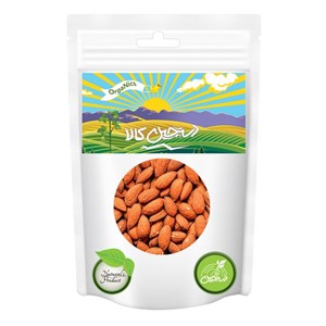 مغز بادام درختی نمکی دستچین کالا - 1000 گرم