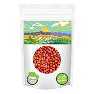 بادام زمینی با طعم نمک دستچین کالا 1000 گرم Dastchin kala Peanut gr 