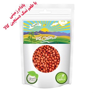 بادام زمینی با طعم نمک دستچین کالا - 100 گرم