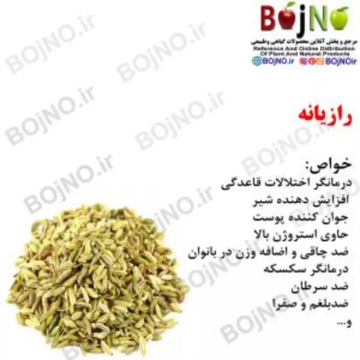 رازیانه - 100 گرم